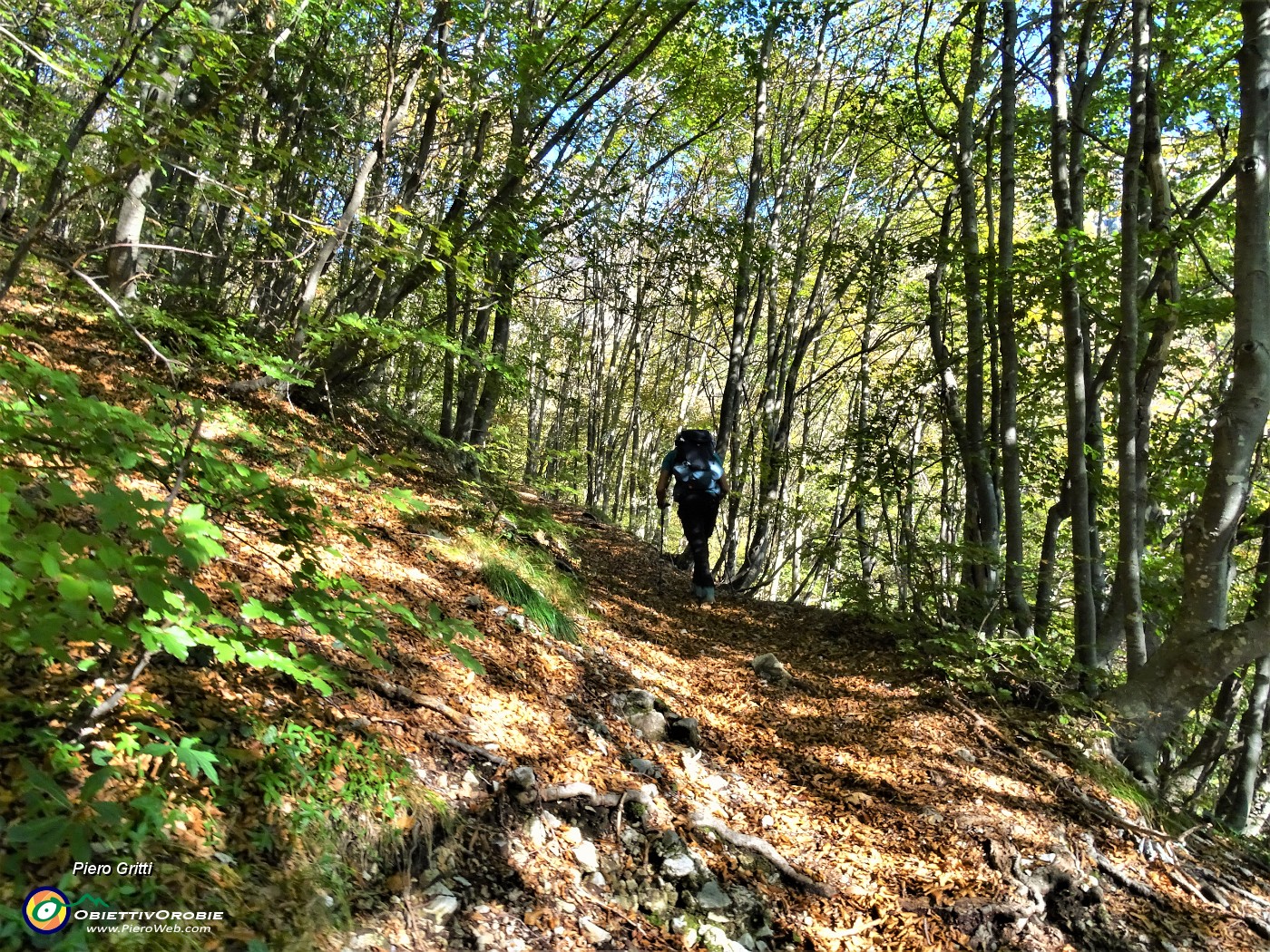 08 In decisa salita nel bosco di latifoglie.JPG